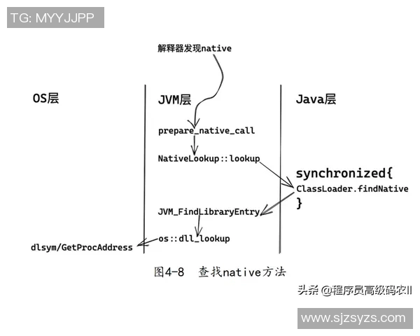 CSGO赛事分析：深入探讨LNG战队的运营策略与发展动态
