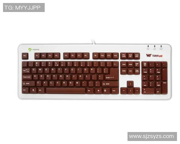 WE战队防守反击策略分析及其成效评估