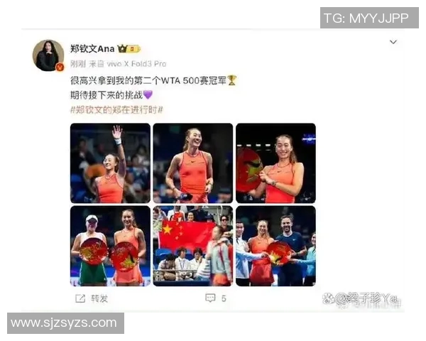 上海网球队的拼搏之路：挑战赛背后的故事与荣耀