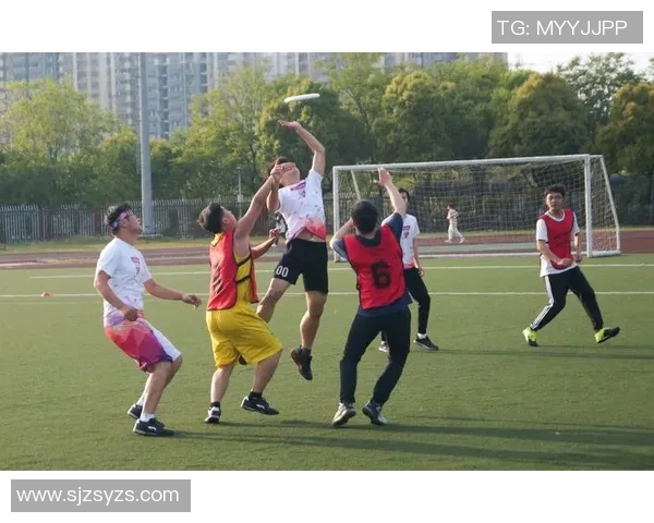 南京飞盘队在比赛中的控制能力分析与得失总结