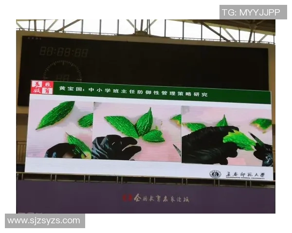 北京街舞队防守策略分析与表现评估探讨