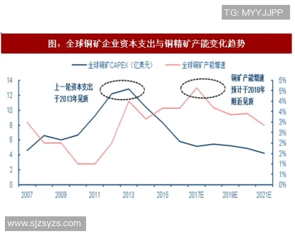 成都飞盘队运营策略深度分析与成功经验分享