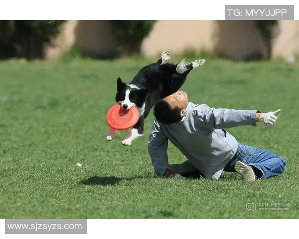 成都飞盘队在极限运动世界杯中的逆袭之路与荣耀时刻