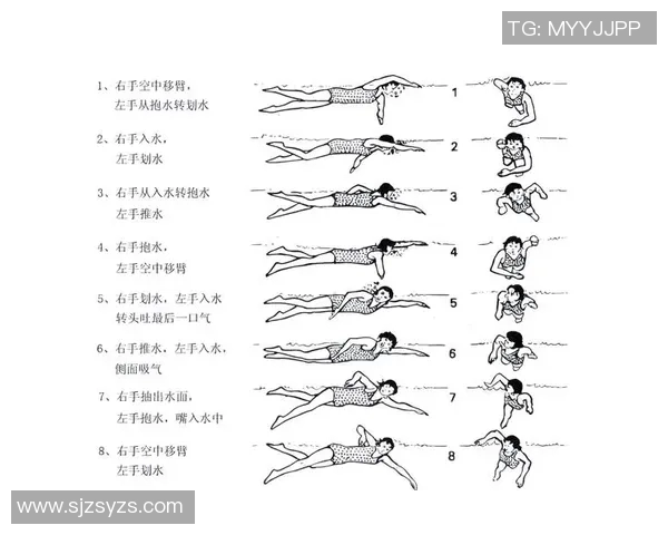 提升自由泳技巧从入门到精通的完整课程计划与训练方法