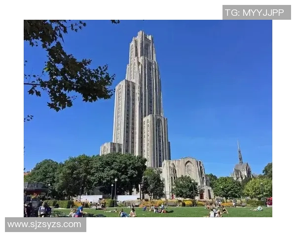 独家解析西安排球队比赛经验的差异与影响分析